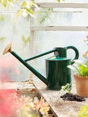 Haws Bearwood Brook Watering Can green